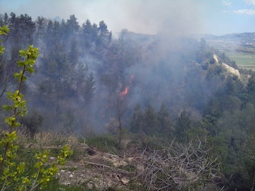 incendio_rosciano