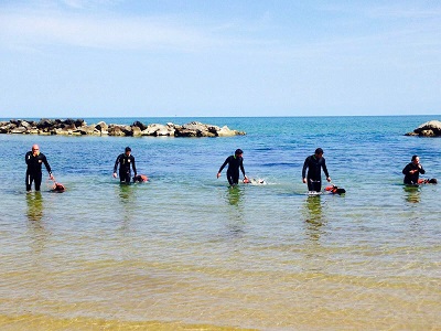 Montesilvano Riviera In Festa Con Gli Amici Animali