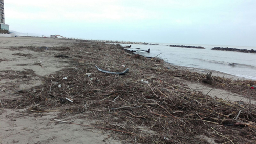 detriti su spiaggia Montesilvano