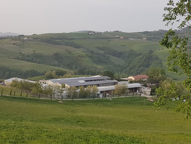 Azienda Agricola Martinelli di Farindola