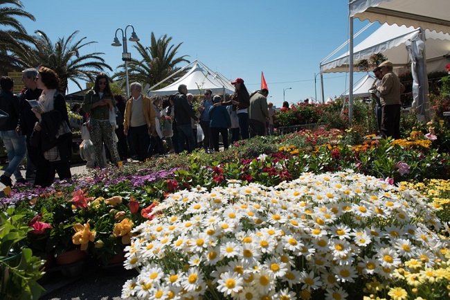 Mostra del Fiore Florviva 2017