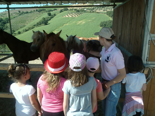 attività nel ranch