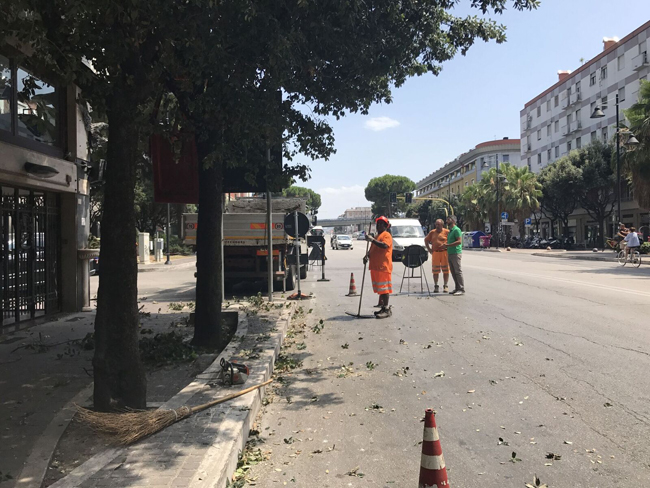 corso vittorio latifoglie Pescara