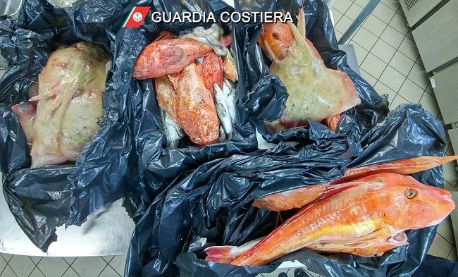 sequestro 16 ottobre pesce