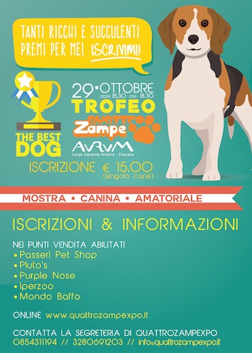 trofeo 4 zampe