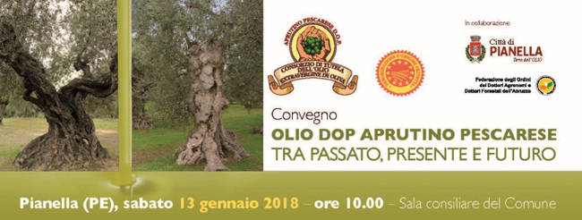 Olio DOP Aprutino Pescarese