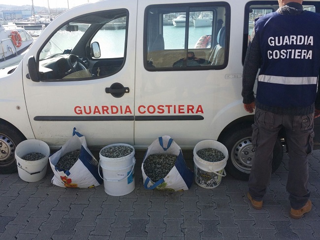 Pescara, Guardia Costiera: sequestrati oltre 3 quintali di pesce