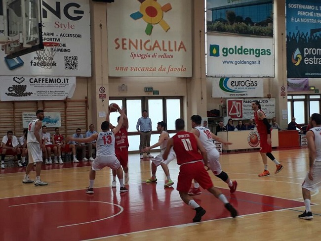 Senigallia Amatori Pescara