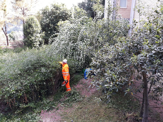 Chieti aree verdi scolastiche: nuovi interventi pulizia