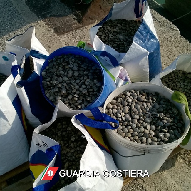 Giulianova sequestrati oltre due quintali vongole