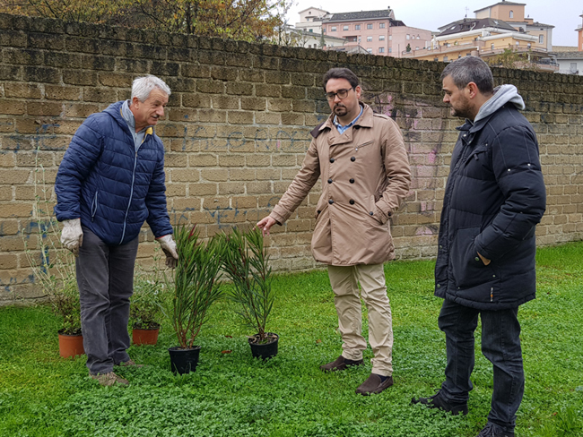 Teramo festa dell'albero