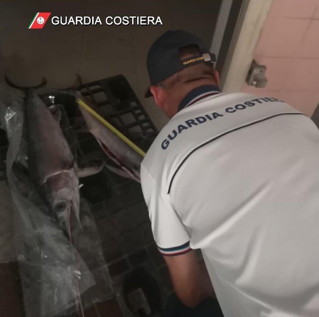 guardia costiera pesce spada