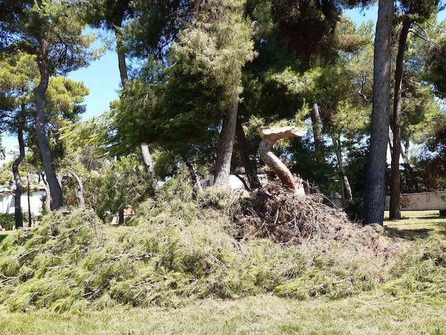 parco cerulli Giulianova