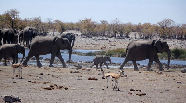 namibia settembre 2019