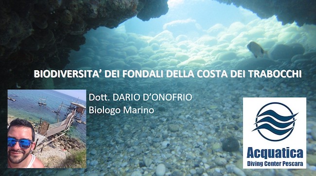 biodiversità