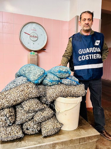 sequestro vongole roseto