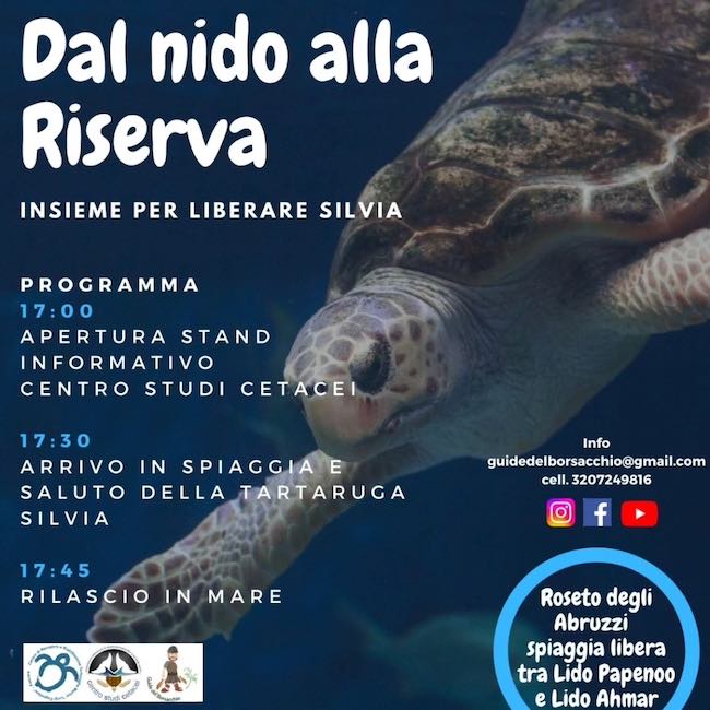 dal nido alla riserva 11 agosto 2024