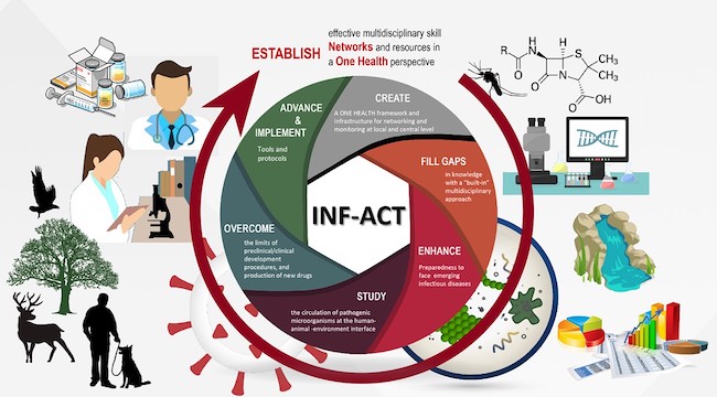 inf-act impact