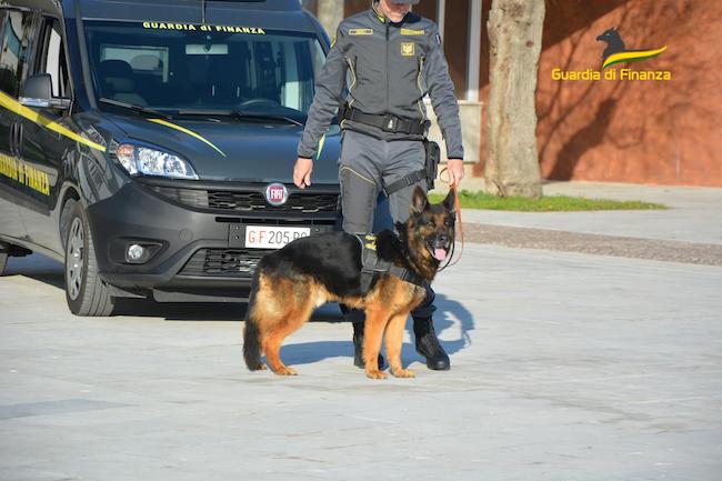 guardia di finanza pescara